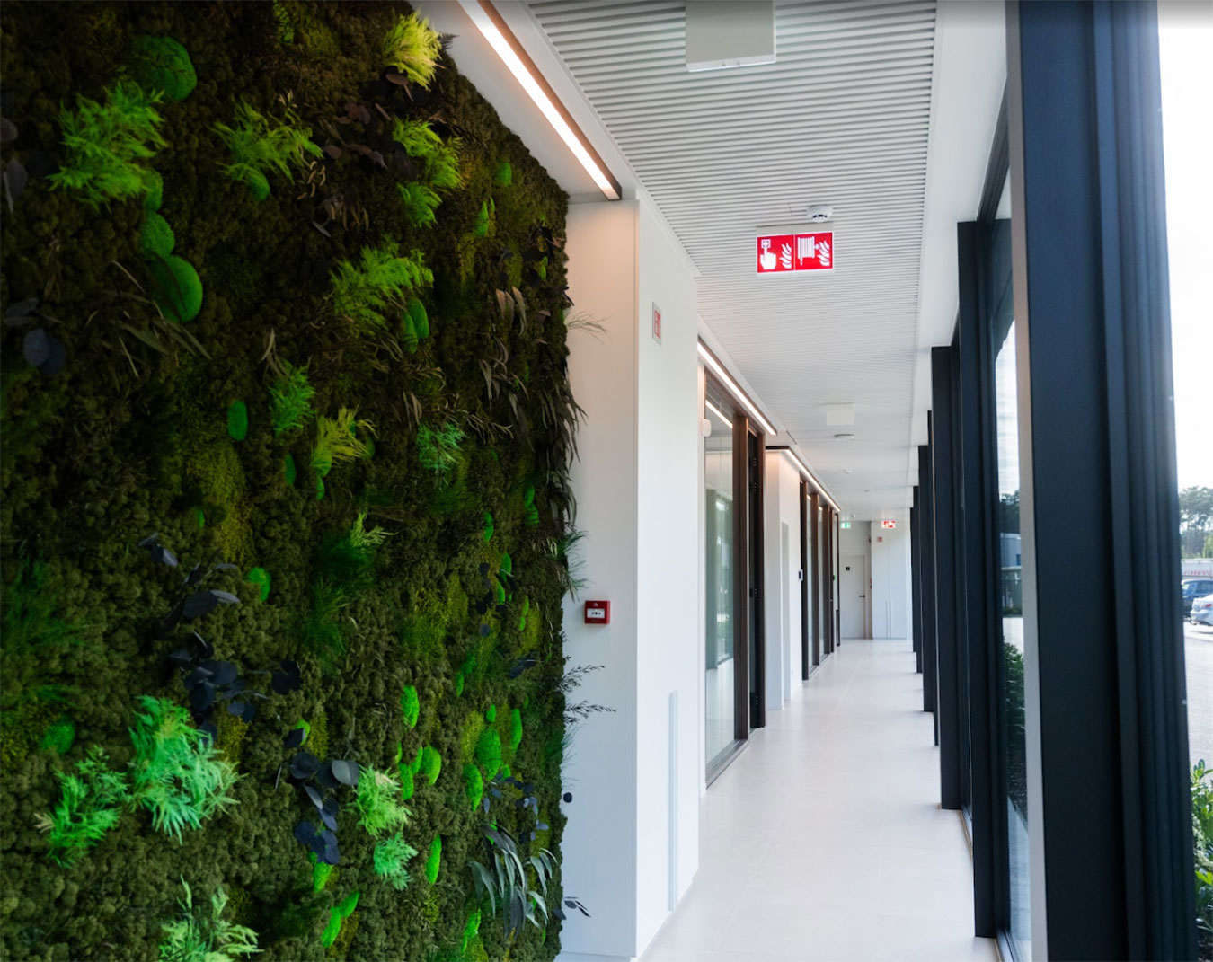 Binnenruimte Gheys HQ met groene moswand, natuurlijk daglicht en moderne afwerking als onderdeel van duurzame energiesturing en slimme daglichtregeling.